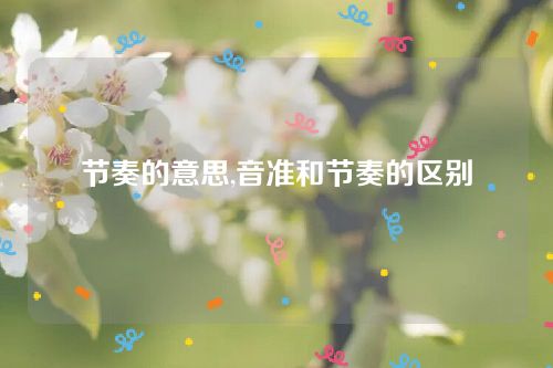 節奏的意思,音準和節奏的區別 節奏的意思,音準和節奏的區別