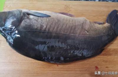 三道鱗千萬不能吃,三道鱗魚有野生的嗎 三道鱗千萬不能吃,三道鱗魚有野生的嗎