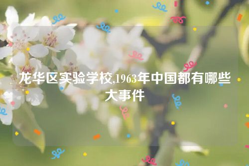 龍華區實驗學校,1963年中國都有哪些大事件 龍華區實驗學校,1963年中國都有哪些大事件