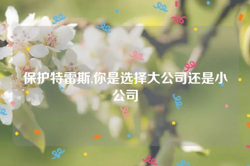 保護特雷斯,你是選擇大公司還是小公司 保護特雷斯,你是選擇大公司還是小公司