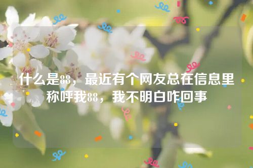 什么是88,最近有個網(wǎng)友總在信息里稱呼我88,我不明白咋回事 什么是88,最近有個網(wǎng)友總在信息里稱呼我88,我不明白咋回事