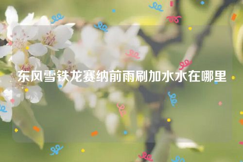 東風(fēng)雪鐵龍賽納前雨刷加水水在哪里 東風(fēng)雪鐵龍賽納前雨刷加水水在哪里