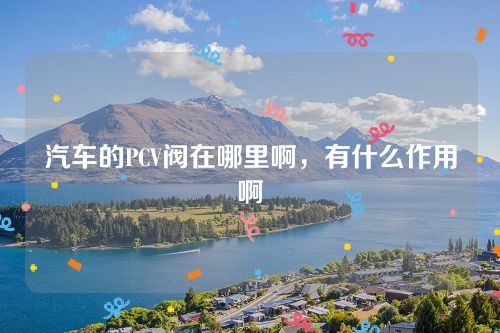 汽車的PCV閥在哪里啊,有什么作用啊 汽車的PCV閥在哪里啊,有什么作用啊