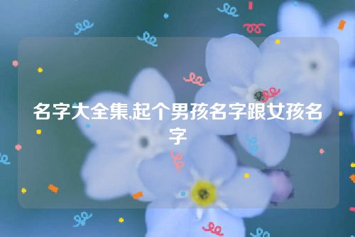 名字大全集,起個男孩名字跟女孩名字 名字大全集,起個男孩名字跟女孩名字