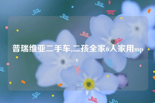 普瑞維亞二手車,二孩全家6人家用mpv 普瑞維亞二手車,二孩全家6人家用mpv