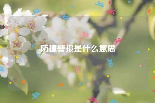 防撞警報是什么意思 防撞警報是什么意思