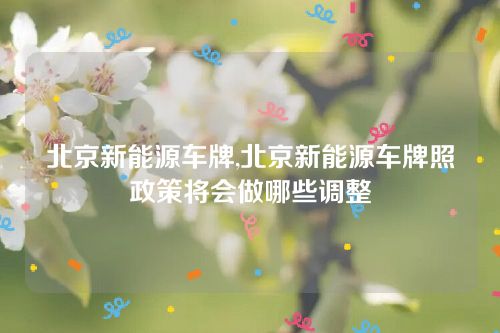 北京新能源車牌,北京新能源車牌照政策將會做哪些調整 北京新能源車牌,北京新能源車牌照政策將會做哪些調整